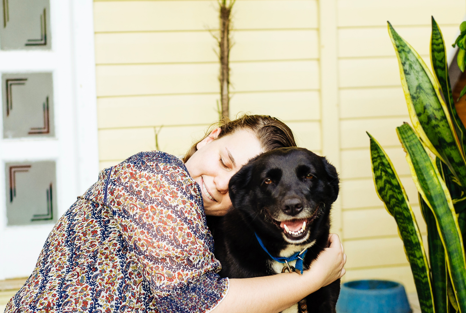 Imóvel com espaço para ter cachorro